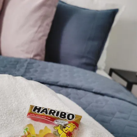 Apartamento Neu! Am Schloss Wlan Netflix Glauchau