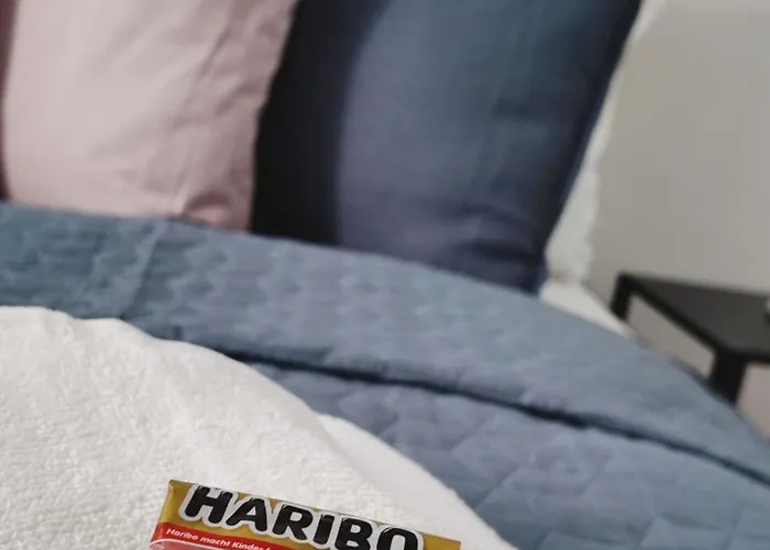 Daire Neu! Am Schloss Wlan Netflix Glauchau