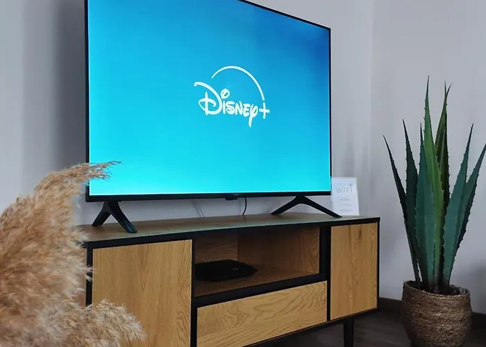 Neu! Am Schloss Wlan Netflix Glauchau